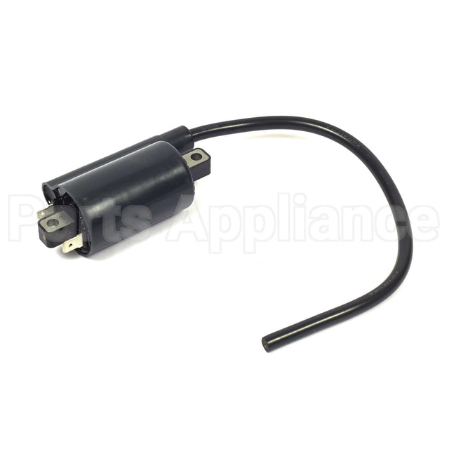 820037 Briggs & Stratton Coil-Ignition