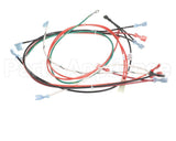 82029 Grindmaster Cecilware Harness, 800 Series