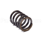 820406 Briggs & Stratton Spring-Valve