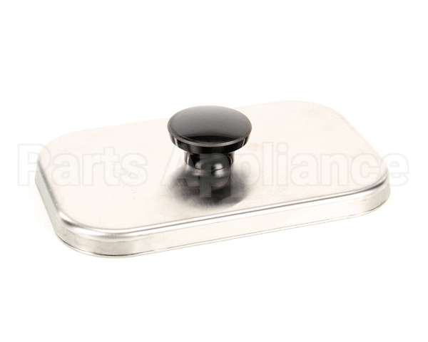 82559 Server Lid Assembly