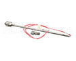 8262541 Frymaster Kit, Float Switch Yscf218