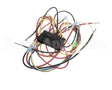 83313 Blodgett Harness, Fem Con, 3P