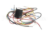 83313 Blodgett Harness, Fem Con, 3P