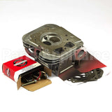 84001919 Briggs & Stratton Head Cylinder