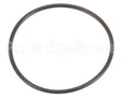 840020 Globe O-Ring