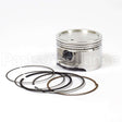 841837 Briggs & Stratton Piston Assy - Std