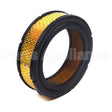 841856 Briggs & Stratton Filter-A/C Cartridge