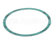 8426401-002 Armstrong 6" Casinig Gasket