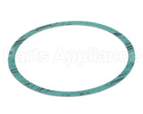 8426401-002 Armstrong 6" Casinig Gasket