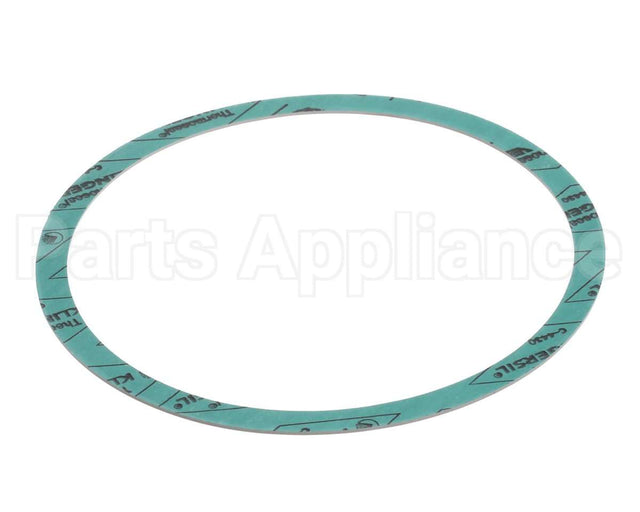 8426401-002 Armstrong 6" Casinig Gasket