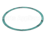 8426401-002 Armstrong 6" Casinig Gasket