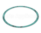 8426401-002 Armstrong 6" Casinig Gasket