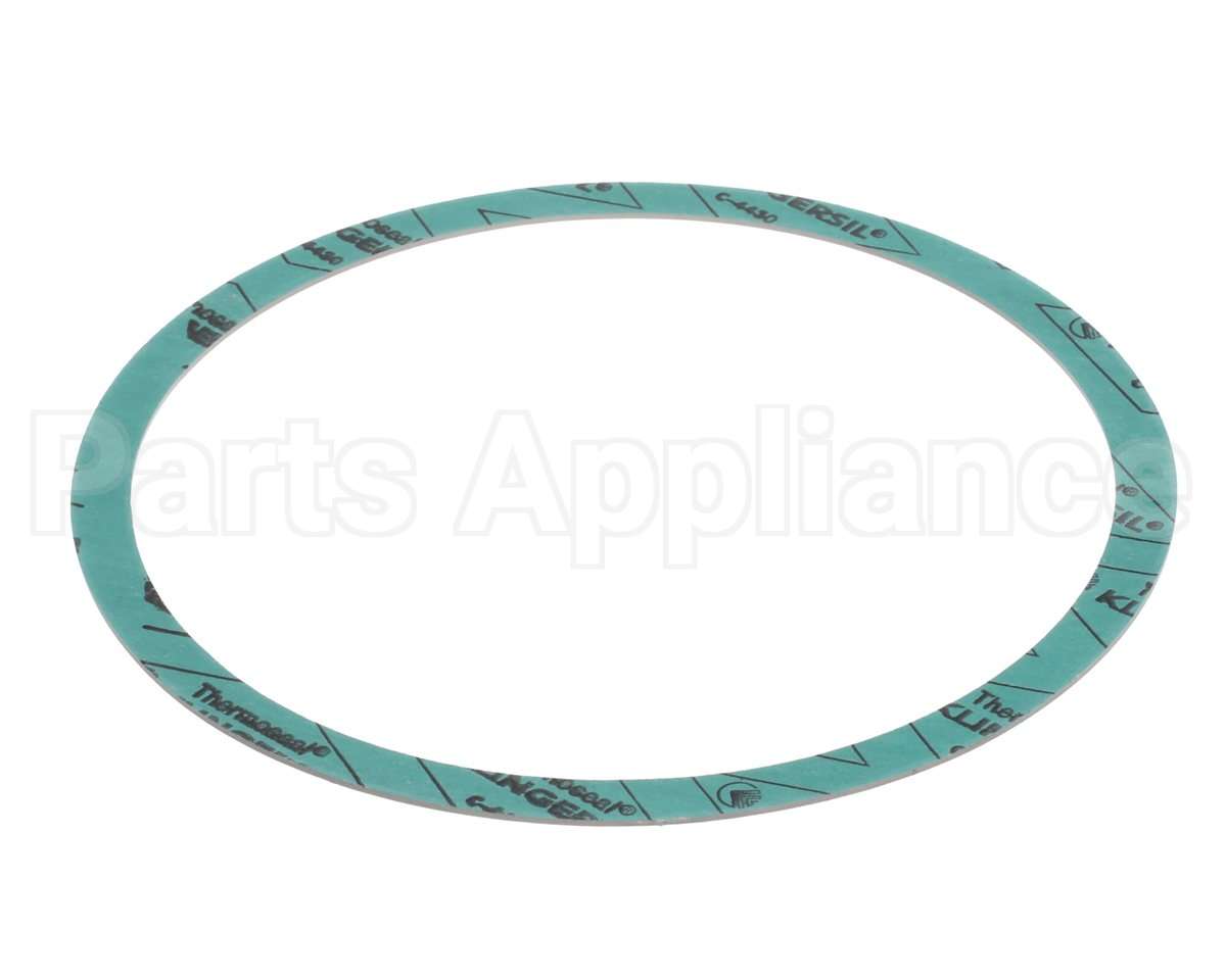 8426401-002 Armstrong 6" Casinig Gasket