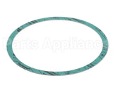 8426401-002 Armstrong 6" Casinig Gasket
