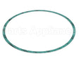 8426401-004 Armstrong Fluid Technology Gasket-Casing 10"