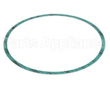 8426401-004 Armstrong Fluid Technology Gasket-Casing 10"