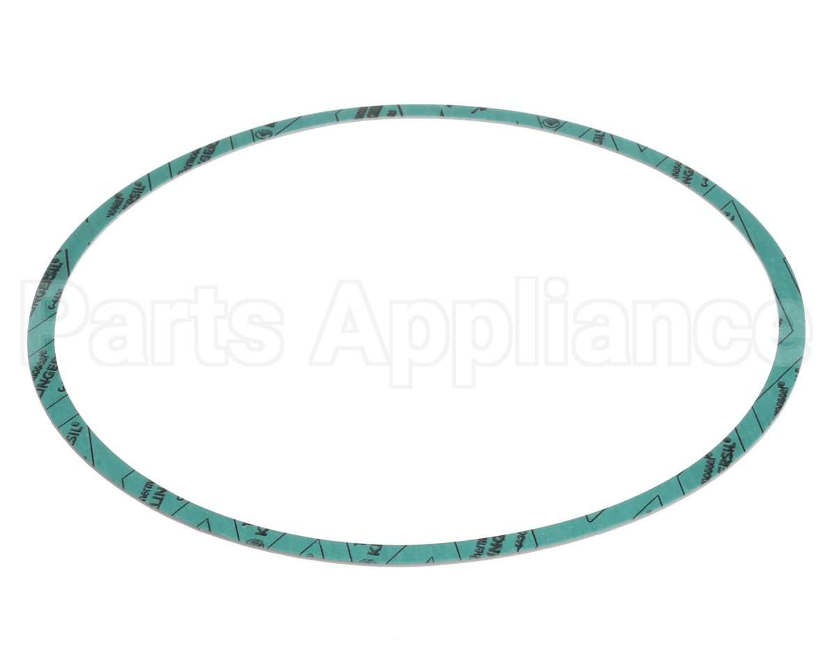 8426401-004 Armstrong Fluid Technology Gasket-Casing 10"