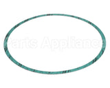 8426401-004 Armstrong Fluid Technology Gasket-Casing 10"