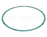 8426401-004 Armstrong Fluid Technology Gasket-Casing 10"