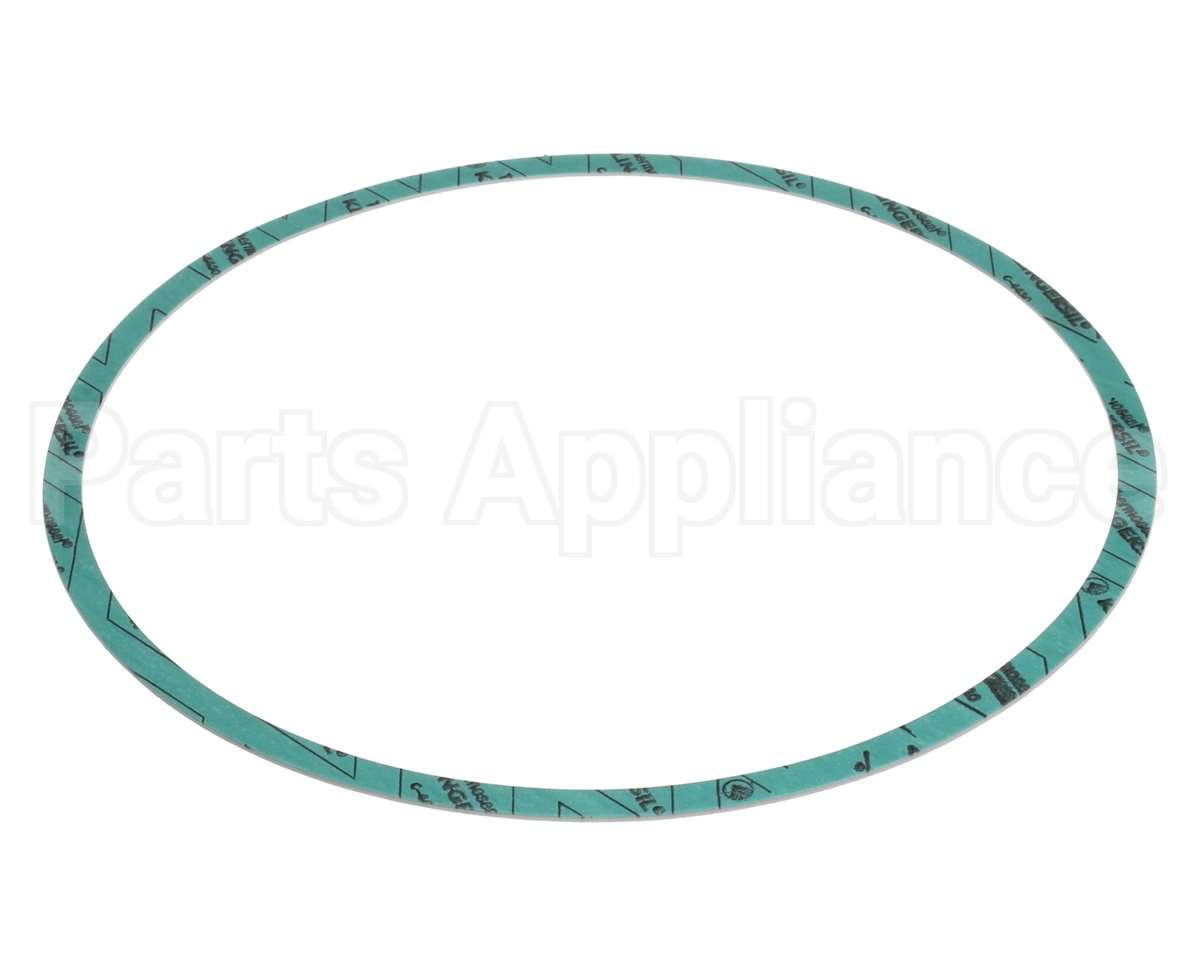 8426401-004 Armstrong Fluid Technology Gasket-Casing 10"
