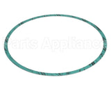 8426401-004 Armstrong Fluid Technology Gasket-Casing 10"