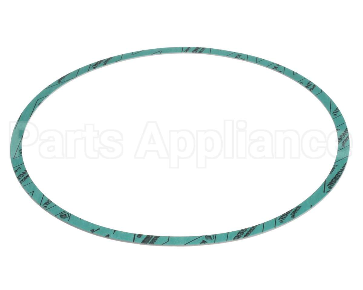 8426401-004 Armstrong Fluid Technology Gasket-Casing 10"