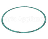 8426401-004 Armstrong Fluid Technology Gasket-Casing 10"