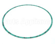 8426401-005 Armstrong Fluid Technology 13" Nitrile Gasket