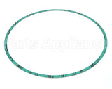 8426401-005 Armstrong Fluid Technology 13" Nitrile Gasket