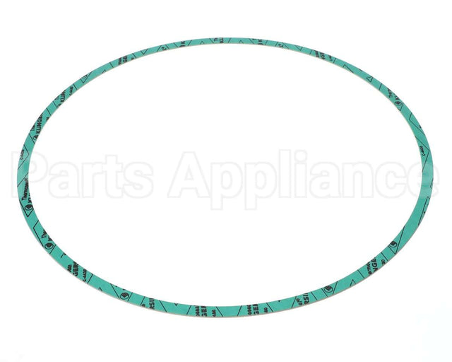 8426401-005 Armstrong Fluid Technology 13" Nitrile Gasket