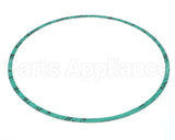 8426401-005 Armstrong Fluid Technology 13" Nitrile Gasket