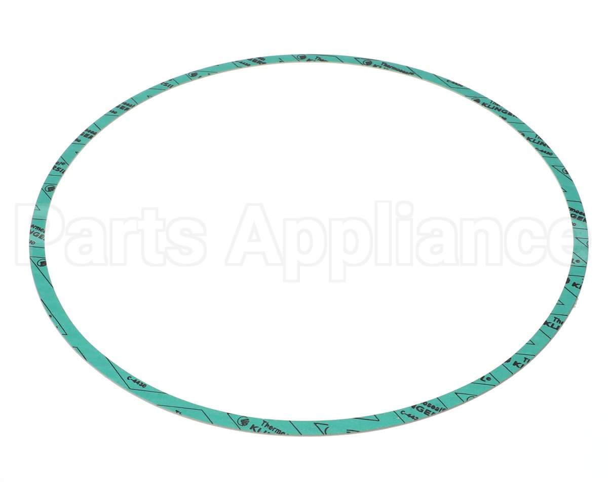 8426401-005 Armstrong Fluid Technology 13" Nitrile Gasket