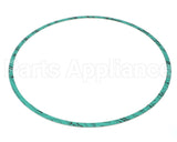 8426401-005 Armstrong Fluid Technology 13" Nitrile Gasket