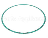 8426401-005 Armstrong Fluid Technology 13" Nitrile Gasket