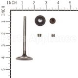 843730 Briggs & Stratton Valve-Intake