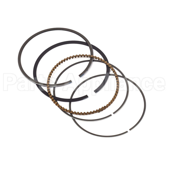 843793 Briggs & Stratton Ring Set