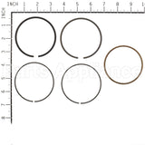 843806 Briggs & Stratton Ring Set