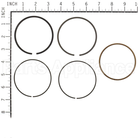 843806 Briggs & Stratton Ring Set