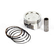 843951 Briggs & Stratton Piston Assembly
