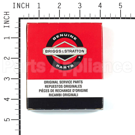 843953 Briggs & Stratton Ring Set