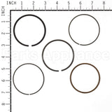843953 Briggs & Stratton Ring Set