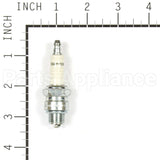 844S Champion H10C Shop Pack 24 Plugs