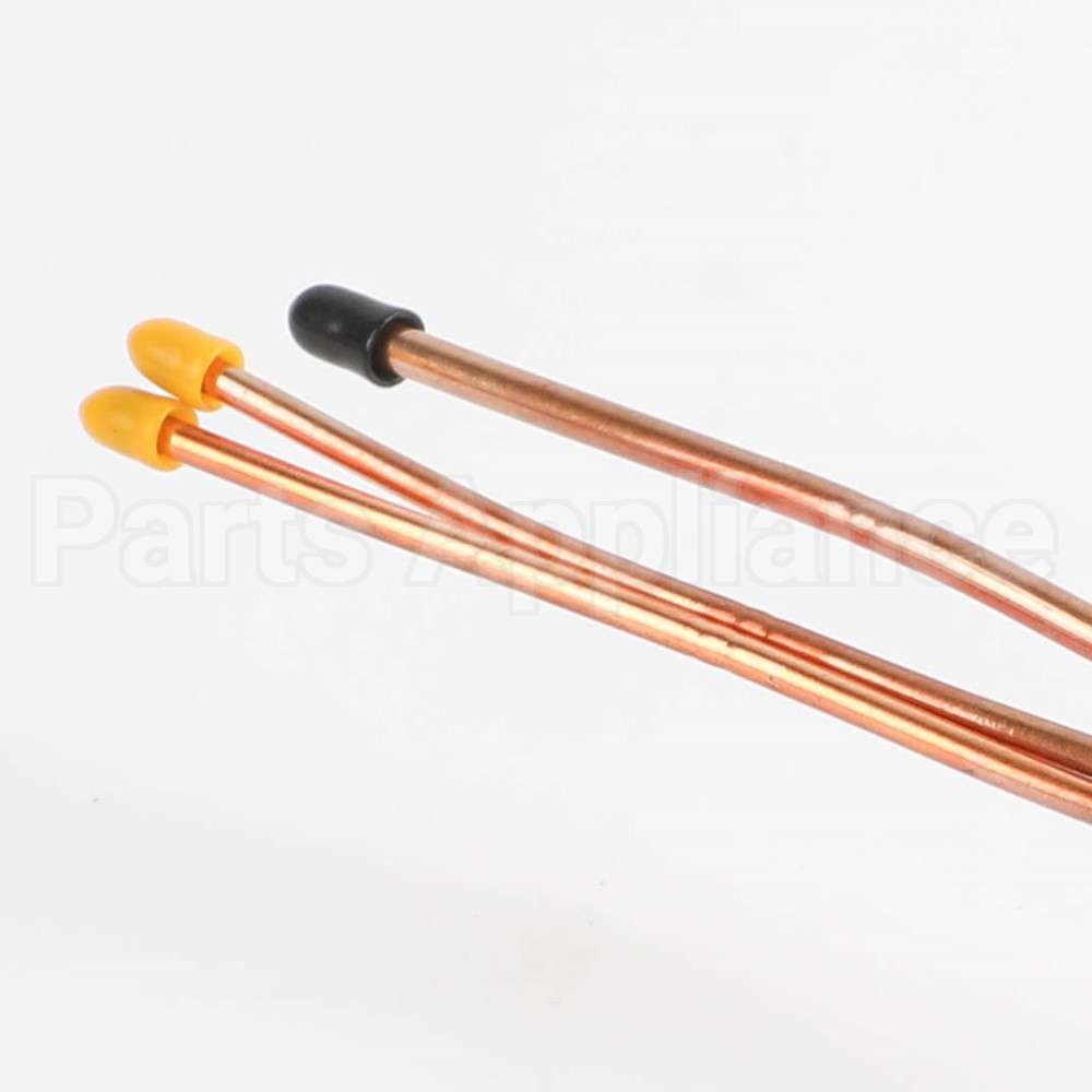 846688P Fisher Paykel Valve Sankyo Nsce001Ra9