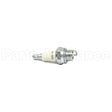 848-1 Champion Cj8Y Sm Eng Plug Carded