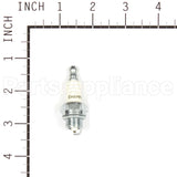848-1 Champion Cj8Y Sm Eng Plug Carded