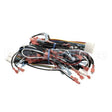 856744-00001 Compatible Hobart Harness, Wiring Basic C2 4Ea