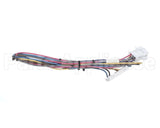 86W56 Lennox Wiring Harness