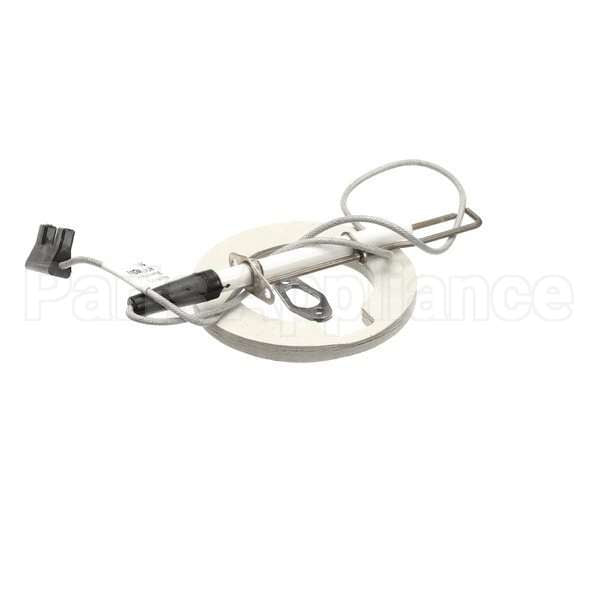 87.00.663 Compatible Rational Ignition Electrode Kit