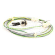 87.01.220 Compatible Rational Filling Level Electrode 85 Mm With Wire