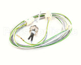 87.01.220 Rational Filling Level Electrode 85 Mm With Wire